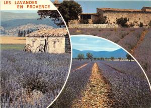 BR2371 France Provence Champs de Lavande multi vues