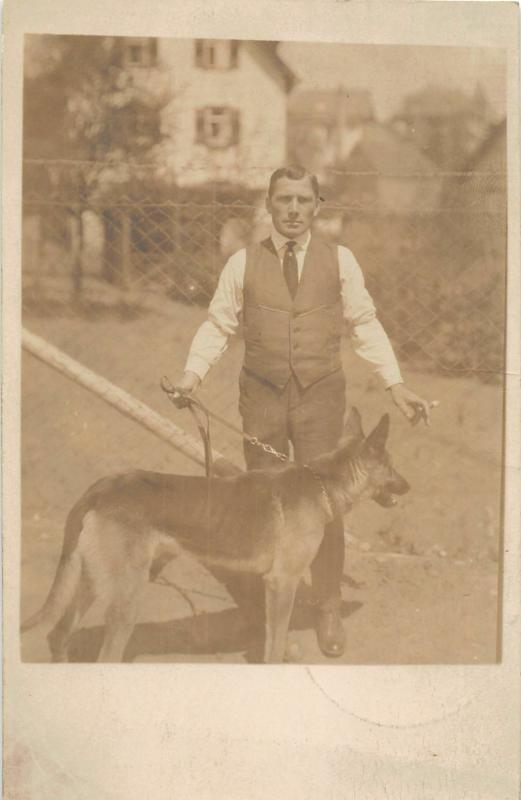 F27/ Animal RPPC Photo Postcard c1910 Dog German Shepard 12