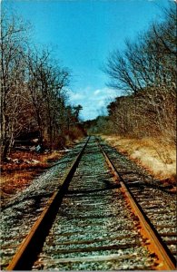 Vintage Railroad Train Locomotive Postcard - On the Right Track - Cape Cod Mass