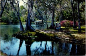 Florida Silver Springs Glass Bottom Boat On The Silver River 1964