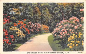 Greetings from Livingston Manor New York  