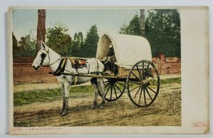 A Virginia Market Cart Early udb Postcard N8