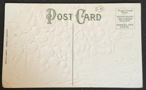 Postcard Unused “Birthday Greetings” Embossed Grapes/Flowers LB