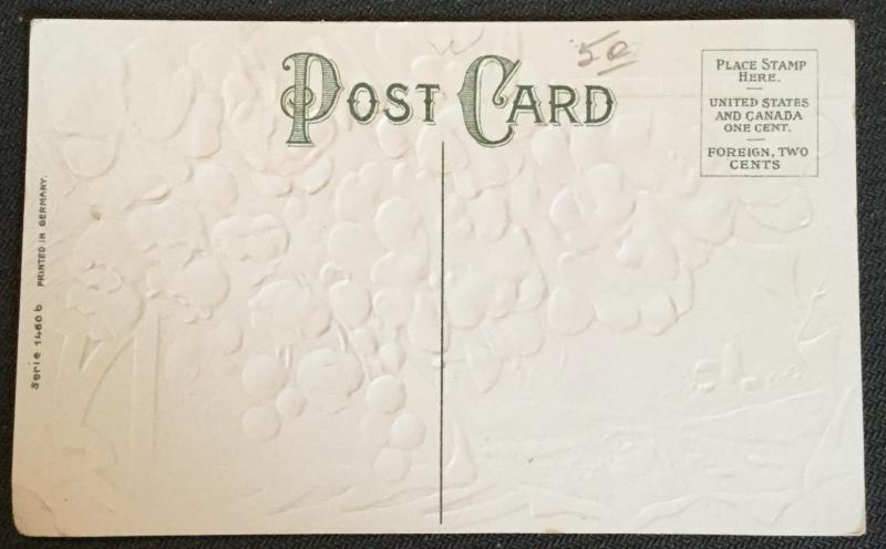 Postcard Unused “Birthday Greetings” Embossed Grapes/Flowers LB