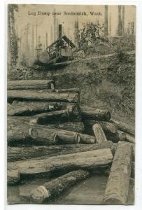 Donkey Engine Log Dump Logging Snohomish Washington 1910 postcard