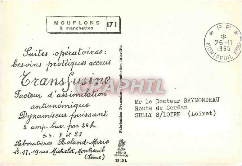 Postcard Modern Mouflons has Tranfusine Headlines Advertisement