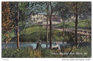 View In Highland Park, Quincy, Illinois, 1900-1910s