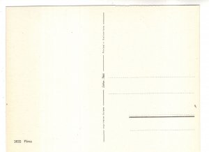 Winter Mountain, Flims, Switzerland