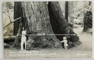 CA Muir Woods Nat'l Monument Hollow Attractive Man  RPPC Postcard T12