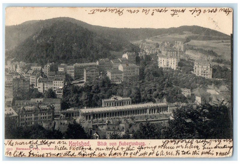 1905 Blick Von Hubertusburg Karlsbad Austria Antique Posted Postcard
