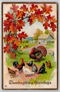 Thanksgiving Turkey Fall Leaves 1914 Williamsport To State College Postcard S26