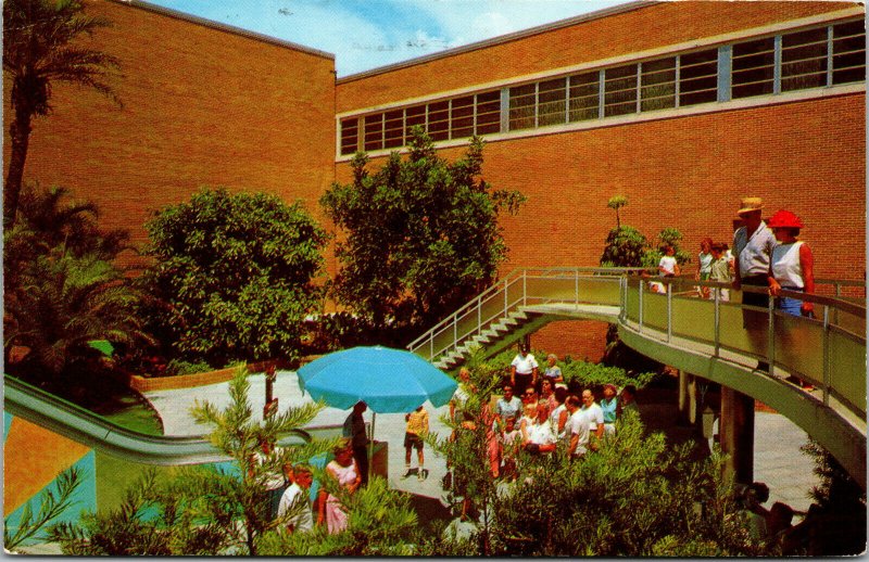 Vtg 1970s Anheuser Busch Gardens Cantilever Ramp Tampa Florida FL Postcard