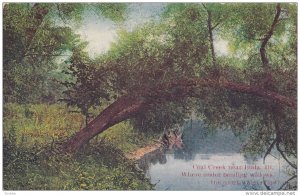 Coal Creek Near BUDA, Illinois, PU-1908