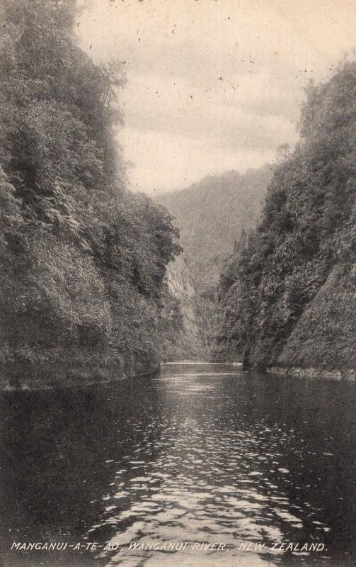 Manganui River New Zealand Wanganui Antique Postcard