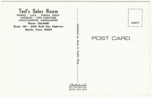 Mystic CT Ted's Sales Room Horse and Antique Store 1970s Postcard