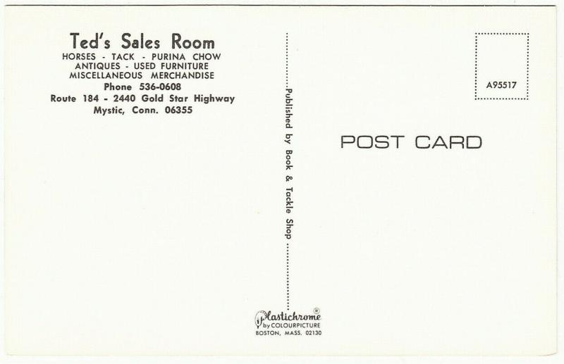 Mystic CT Ted's Sales Room Horse and Antique Store 1970s Postcard