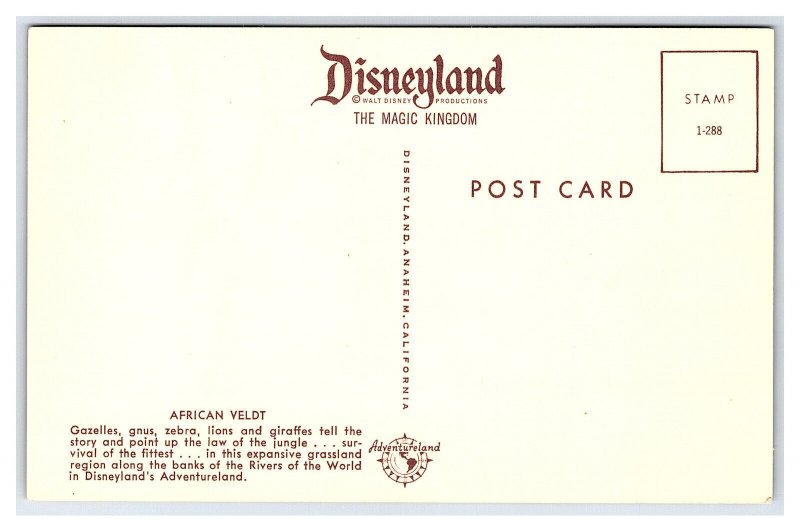 African Veldt Disneyland's Adventureland California Postcard 