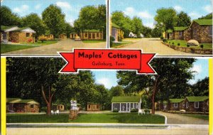 Multi View Maples Cottages Gatlinburg TN c1955 Vintage Postcard J62