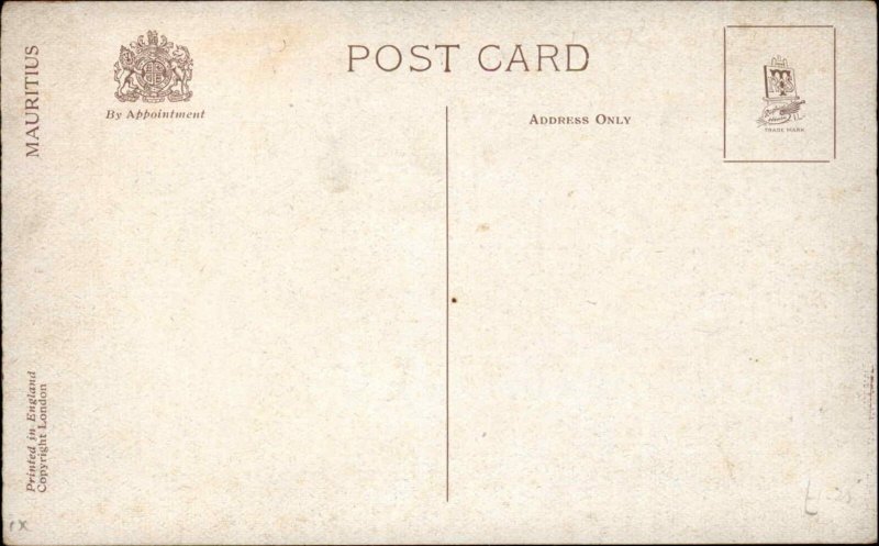 Union Flacq Mauritius Africa Indian Ocean Sugar Factory SCARCE TUCK Postcard