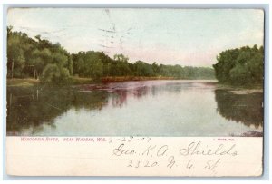 1907 Wisconsin River Scenic View Trees Near Wausau Wisconsin WI Vintage Postcard 