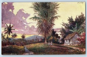 Jamaica Postcard Arcadia Trees House View 1910 Antique Oilette Tuck Art