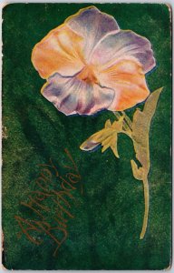 1908 A Happy Birthday Greetings Pansy Large Print Posted Postcard