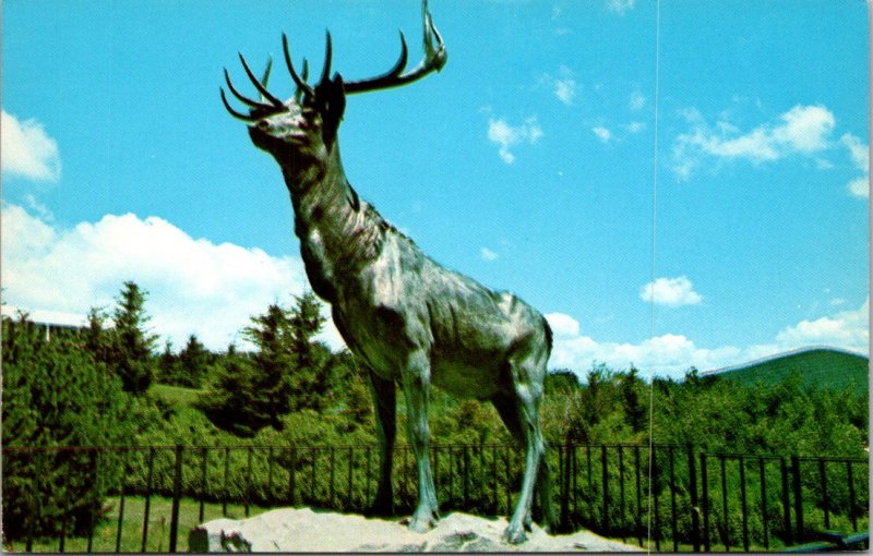 Massachusetts - Elk On The Trail - Memorial To WWI Vets - [MA-925]
