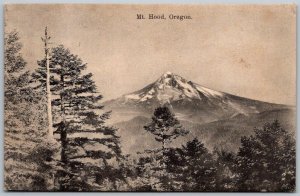 Mt Hood Oregon 1908 Postcard