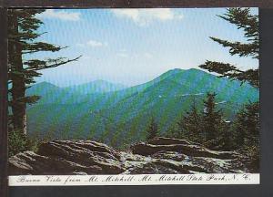 Buena Vista Mt Mitchell State Park NC Postcard BIN E931