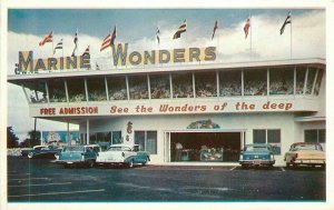 Automobiles Fort Lauderdale Florida Marine Wonders Postcard Playland 11102