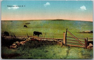 Scene Near Catskill Mountains New York NY Cow Animals In Pastures Postcard