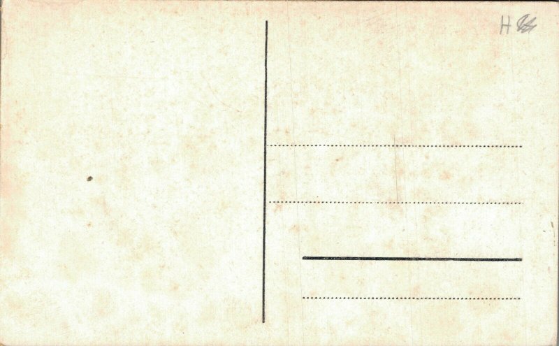 Netherlands Bussum De Gooische Boer Vintage Postcard 07.53