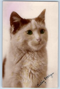 France Postcard RPPC Photo Cute Cat Kitten Haired Studio Unposted Vintage