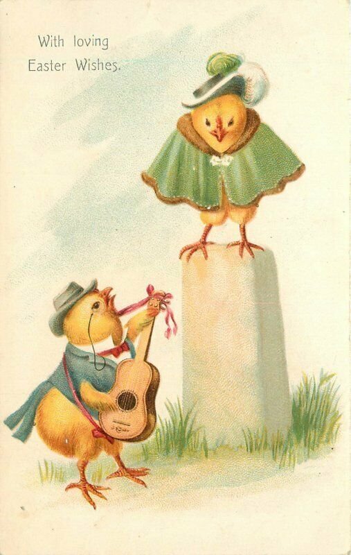 C-1905 Anthroporphic Dressed Chicks Romantic Serenade Postcard 22-2715