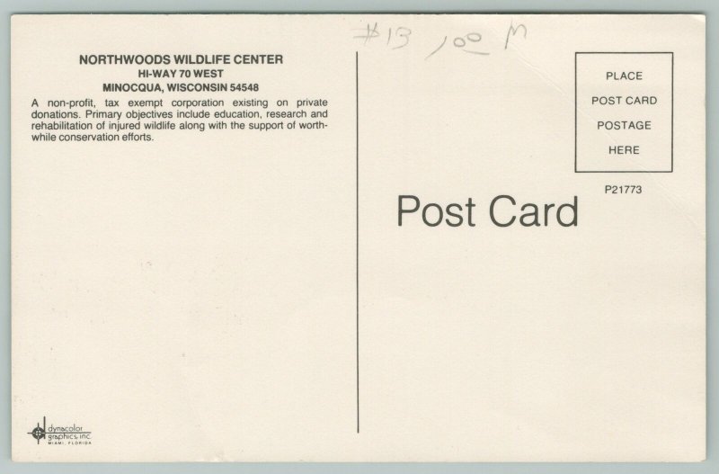 Minocqua Wisconsin~Northwoods Wildlife Center~Standard Chrome Postcard