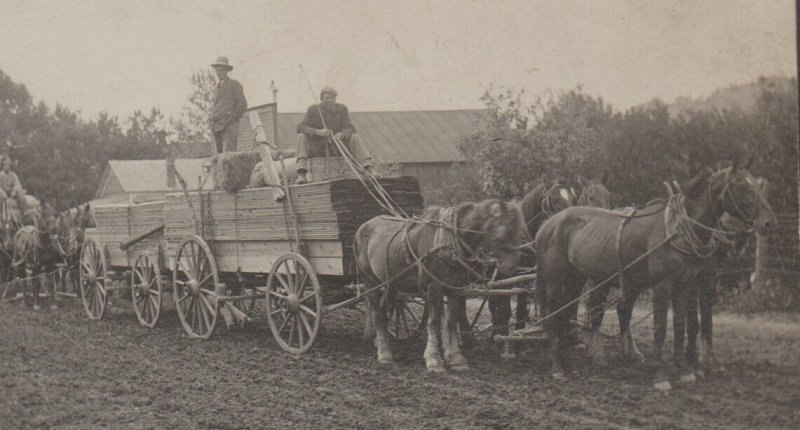 Sturgis SOUTH DAKOTA RPPC 1908 TEAMSTER WAGONS Freighting to Marcus GHOST TOWN