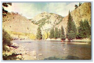 c1960s Cache La Poudre River Trout Route Fort Collins Colorado CO Postcard