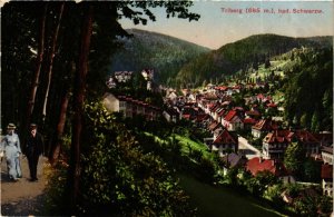 CPA AK Triberg- GERMANY (906191)