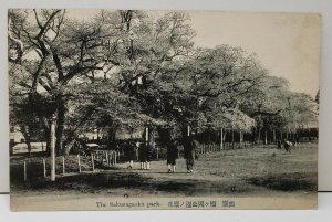 Japan The Sakuragaoka Park Postcard C6