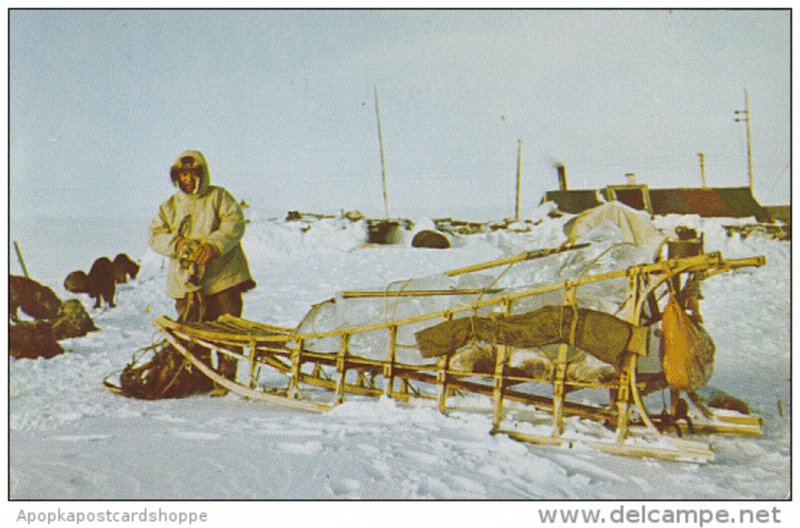 Alaska Eskimo Sled and Dogs