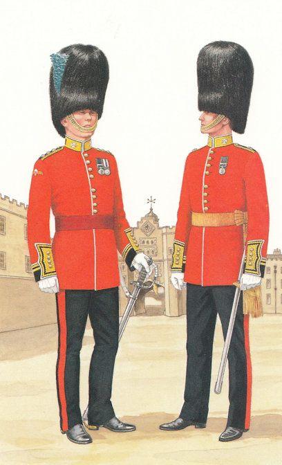 Field Officer Of Honour Irish Guard Military Postcard