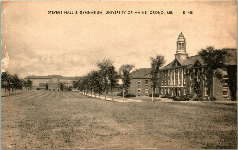 Lot of 11 Vintage University of Maine / Orono, Maine Postcards 1930s-50s UNP