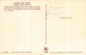 Postcard Eagle's Nest Lodge in Catalina Island, California~111788 