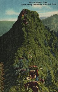 Vintage Postcard Chimney Tops Great Smoky Mountains National Park Tennessee TN