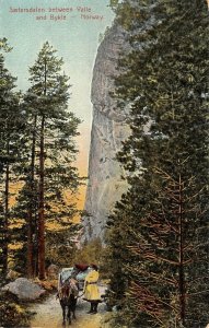Valle & Bykle Norway~Saetersdalen~Horse & Buggy~Fellow Walks~1908 Postcard