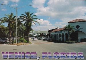 Florida Venice View Of Venice Avenue