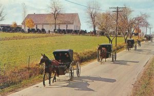 Pennsylvania Mennonite Carriages Leaving Church Chrome Postcard Unused