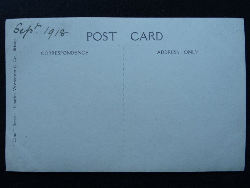 Devon Dartmoor Collection x 4 Ezra Elmer Keene c1918 Postcard by C. Worcester