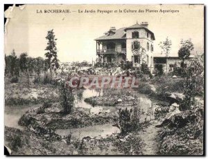 Old Postcard The Rocheraie Garden Landscape and Culture of Aquatic Plants