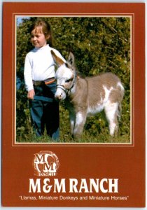 Little Boy with Miniature Donkey at M&M Ranch - La Crescent, Minnesota